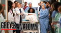 No estás sola: el capítulo de Grey’s anatomy inspirado en un caso real que unió al elenco  