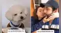 Perrito se pone ‘celoso’ al ver que su dueña prefiere abrazar a su novio y no a él