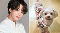 BTS: falleció mascota de Jungkook y así se despidió el hermano del idol k-pop