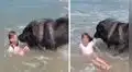 Perro ‘rescata’ a niña al pensar que estaba en peligro y conquista a miles en YouTube 