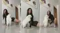 Intenta hacer el paso de Anitta, pero su perrito le arruina el baile y hace reír en TikTok
