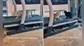 Gatito es regañado por no dejar que su ‘amigo’ felino entrene en la caminadora eléctrica