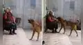 Abuelita cautiva a miles en TikTok al jugar a la pelota con su perrito