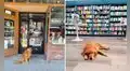 Familia pone el nombre de su perrita a su nueva librería y la convierten en gerente   