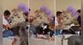 Perrito festeja su cumpleaños, pero celebración termina en pelea ‘perruna’
