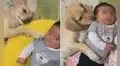 Perrita acaricia con sus patas al bebé de su dueña y escena conmueve en TikTok