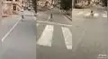 Perrito conmueve en TikTok al perseguir vehículo de su dueño cada vez que sale a trabajar
