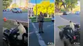 Perro y gato dejan las correas de lado y salen a pasear en su propio auto