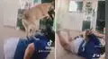 Joven intenta hacer el famoso paso de Anitta, pero su perro lo arruina todo