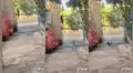 Perrito trepa las rejas para entrar a su casa y su travesura sorprende en TikTok 