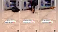 Perrito ayuda a su compañero a sacar pelota atrapada debajo de mueble y salen juntos a jugar
