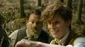 “Animales fantásticos 3″: guía básica de las criaturas mágicas de Newt Scamander