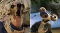 Perrito es comparado en TikTok con la abuelita de Sid, personaje de “La era del hielo”