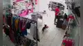 Cámara de seguridad registra momento en que perrito se ‘roba’ el peluche de una tienda