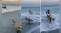 Perrita en silla de ruedas se emociona al ver a su dueño surfear y corre para alcanzarlo