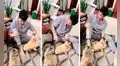 Le muestra a su gato el castigo que le dará si lo vuelve a atacar, pero este lo desobedece 