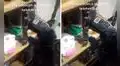 Mujer descubre que su perrita se encarga de contestar sus llamadas cada vez que está sola