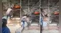 Travieso mono agarra del cabello a turista y se niega a dejarlo en libertad