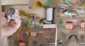 Hámster es puesto a prueba por su dueño en un laberinto y cautiva en TikTok