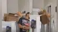 Gatito intenta arañar a su dueño desde una repisa, pero se resbala y se termina cayendo
