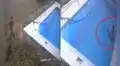Niño de 5 años sorprende al salvar a su perrito de morir ahogado en una piscina