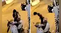 Travieso perrito aprovecha que joven está distraído con su celular y le roba la sandalia