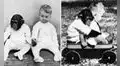 La polémica historia de ‘Gua’, la chimpancé que fue criada con un bebé humano 