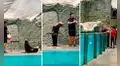 Mujer se ofrece como voluntaria para recibir tiernos ‘besos’ de lobita marina y enamora a miles