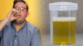 ¿Beber orina trae beneficios a la salud? 