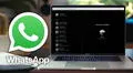 WhatsApp Web: aprende a descargar cualquier estado directamente en tu computadora