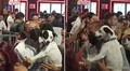 Perro acompaña a su dueño a una discoteca y ambos se apoderan de la pista de baile