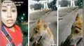 Mujer encuentra a perrito con delineado de cejas y reprende a los responsables