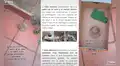 Joven creyó que había encontrado un erizo, pero se sorprendió al descubrir de qué se trataba