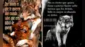 ¿Cuál es el origen de los divertidos memes de lobos que reflexionan?