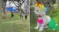 Lleva a su perrita a fiesta temática hawaiana y canina deslumbra con su atuendo