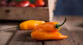Bájale el picante a la comida con estos 6 efectivos trucos caseros