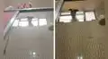 Perro hace de todo para no separarse de su dueña durante el día y la persigue hasta el baño