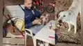 Joven tomaba foto a su comida, pero su amigo le quita su presa y se la regala a perrito callejero