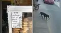 Perro le roba la bolsa de pan a una mujer y se va corriendo para no ser atrapado