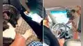 Perro no ‘soporta’ ir de paseo con su ‘amigo’ y hace de todo para que se baje del auto