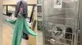 Arman un muñeco con traje de veterinario para acompañar a un perro en cuidados intensivos