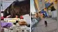 Perrito sorprende a emprendedora y le ‘roba’ uno de sus productos, pero ella corre tras él