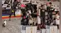 Perrito sube al podio para celebrar con su dueño su primer puesto en una carrera