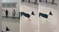 Perrito se une a clase de gimnasia y sorprende con su especial rutina de ejercicios