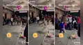 Travieso perrito destroza una piñata durante la celebración de un cumpleaños