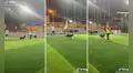 Perro se mete a partido de fútbol y aprovecha el descuido del arquero para anotar un gol