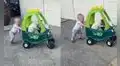 Bebito enternece las redes sociales al llevar de paseo a su perrito en un carro de juguete
