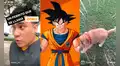 Joven cuida a perrito llamado Goku y lanza la frase más épica del narrador de “Dragon Ball Z”
