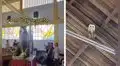 Lechuza sorprende al ‘bailar’ en una iglesia mientras todos los presentes cantaban