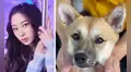 Aespa: Giselle y su donación para animales abandonados conmueve al fandom